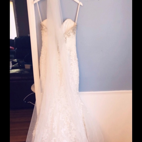 Veil - Picture 2 of 4